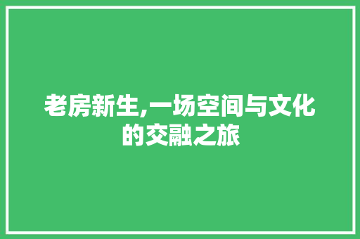 老房新生,一场空间与文化的交融之旅