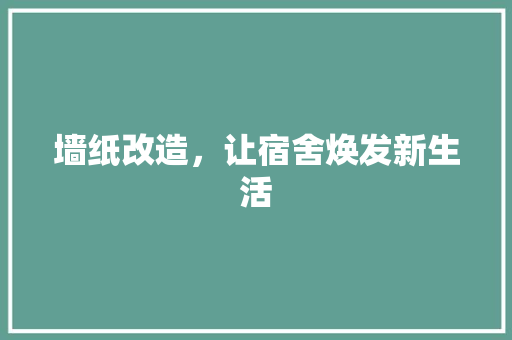 墙纸改造，让宿舍焕发新生活