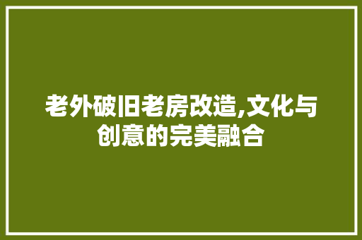 老外破旧老房改造,文化与创意的完美融合