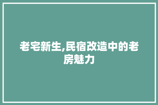 老宅新生,民宿改造中的老房魅力