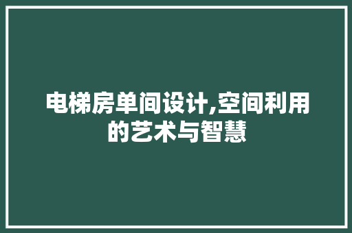 电梯房单间设计,空间利用的艺术与智慧