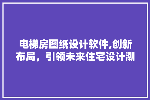 电梯房图纸设计软件,创新布局，引领未来住宅设计潮流