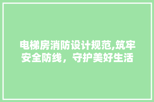 电梯房消防设计规范,筑牢安全防线，守护美好生活