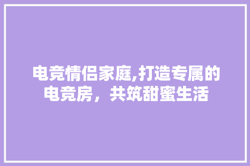 电竞情侣家庭,打造专属的电竞房，共筑甜蜜生活