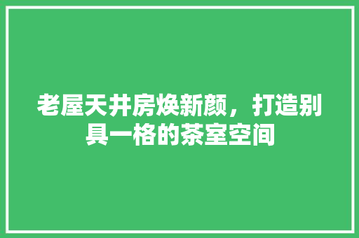 老屋天井房焕新颜，打造别具一格的茶室空间