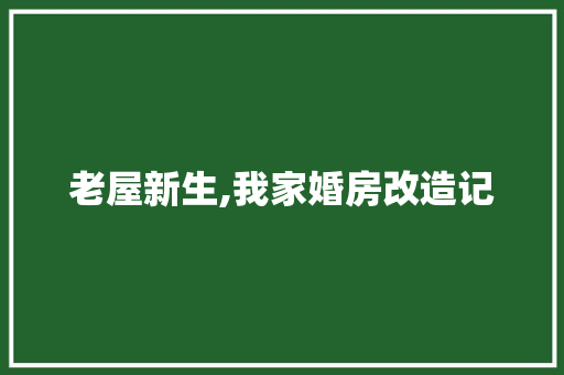 老屋新生,我家婚房改造记