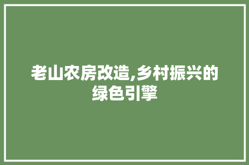 老山农房改造,乡村振兴的绿色引擎