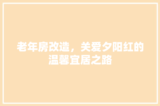 老年房改造，关爱夕阳红的温馨宜居之路