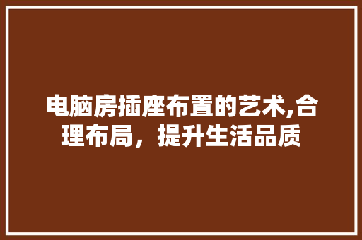 电脑房插座布置的艺术,合理布局，提升生活品质