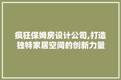 疯狂保姆房设计公司,打造独特家居空间的创新力量