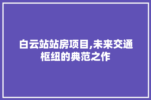 白云站站房项目,未来交通枢纽的典范之作