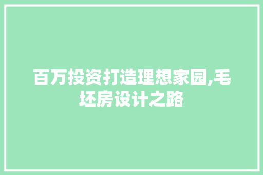 百万投资打造理想家园,毛坯房设计之路