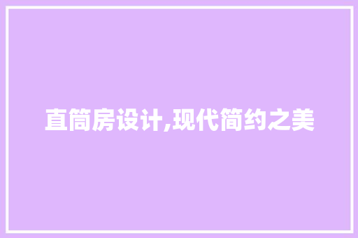 直筒房设计,现代简约之美