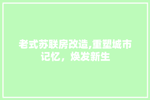老式苏联房改造,重塑城市记忆，焕发新生