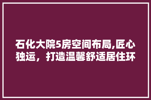 石化大院5房空间布局,匠心独运，打造温馨舒适居住环境