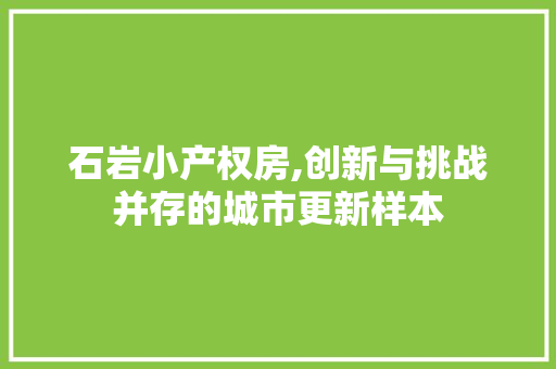 石岩小产权房,创新与挑战并存的城市更新样本