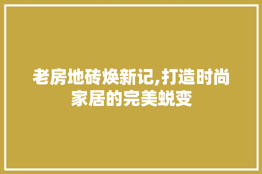 老房地砖焕新记,打造时尚家居的完美蜕变