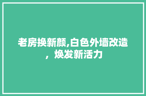 老房换新颜,白色外墙改造，焕发新活力