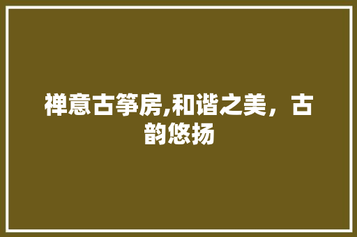 禅意古筝房,和谐之美，古韵悠扬