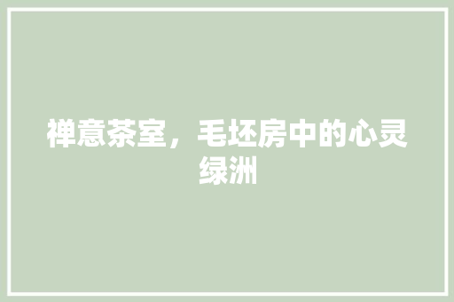 禅意茶室，毛坯房中的心灵绿洲