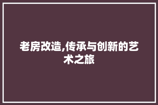 老房改造,传承与创新的艺术之旅