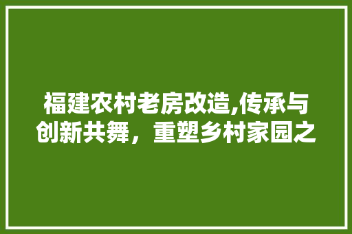 福建农村老房改造,传承与创新共舞，重塑乡村家园之美