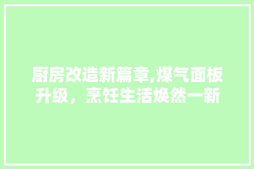 厨房改造新篇章,煤气面板升级，烹饪生活焕然一新