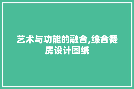 艺术与功能的融合,综合舞房设计图纸
