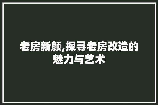 老房新颜,探寻老房改造的魅力与艺术