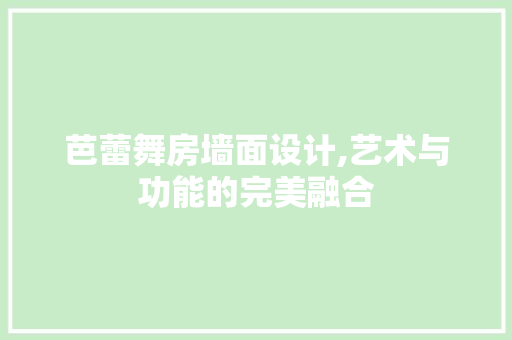 芭蕾舞房墙面设计,艺术与功能的完美融合
