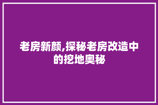 老房新颜,探秘老房改造中的挖地奥秘
