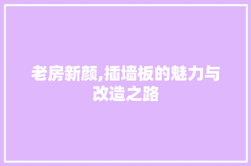 老房新颜,插墙板的魅力与改造之路