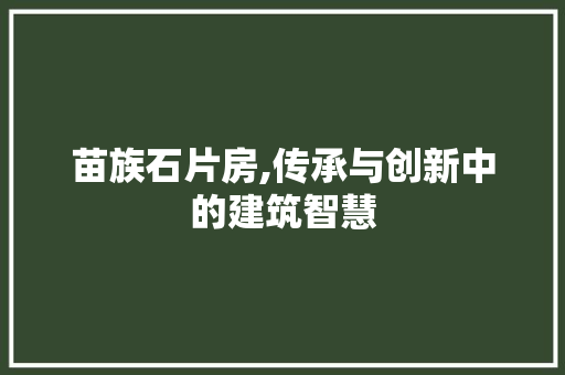 苗族石片房,传承与创新中的建筑智慧