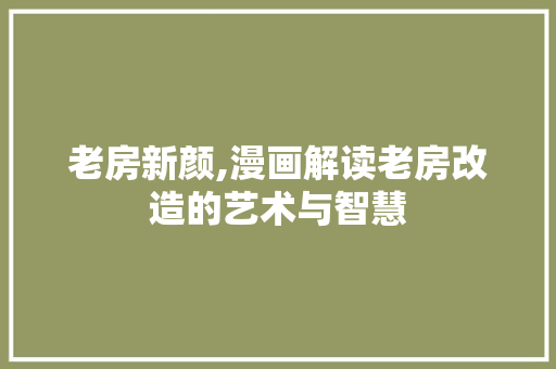 老房新颜,漫画解读老房改造的艺术与智慧
