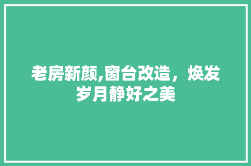 老房新颜,窗台改造，焕发岁月静好之美