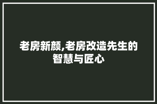 老房新颜,老房改造先生的智慧与匠心