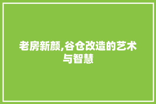 老房新颜,谷仓改造的艺术与智慧