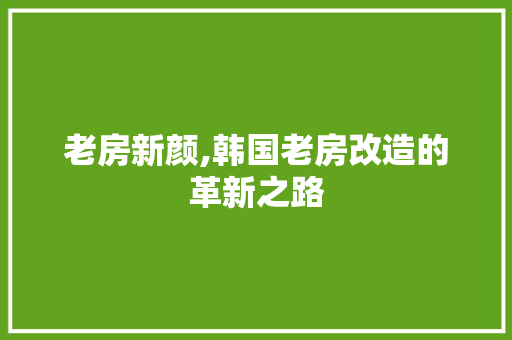 老房新颜,韩国老房改造的革新之路