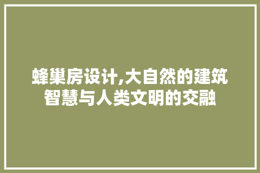 蜂巢房设计,大自然的建筑智慧与人类文明的交融