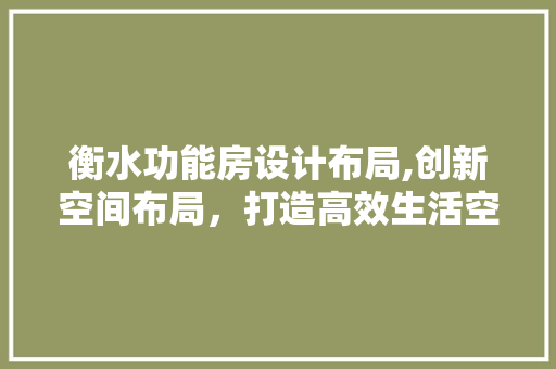 衡水功能房设计布局,创新空间布局，打造高效生活空间