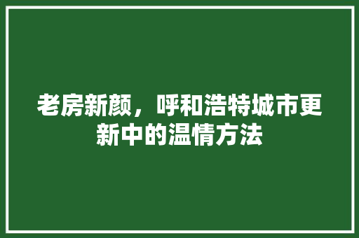 老房新颜，呼和浩特城市更新中的温情方法