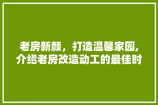 老房新颜，打造温馨家园,介绍老房改造动工的最佳时机