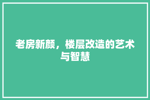 老房新颜，楼层改造的艺术与智慧