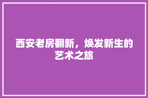 西安老房翻新，焕发新生的艺术之旅