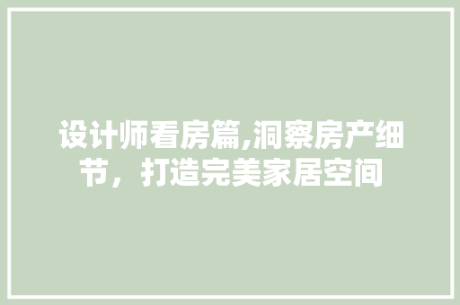 设计师看房篇,洞察房产细节，打造完美家居空间