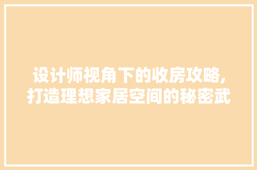 设计师视角下的收房攻略,打造理想家居空间的秘密武器