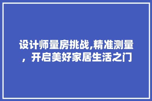设计师量房挑战,精准测量，开启美好家居生活之门