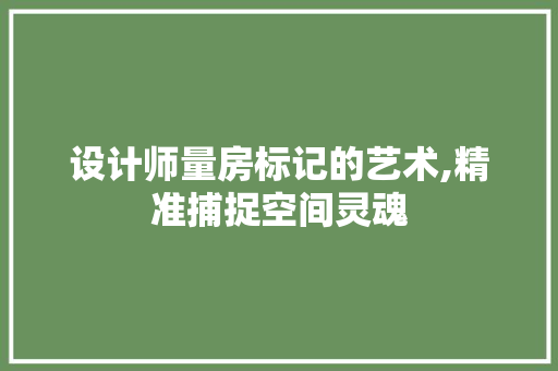设计师量房标记的艺术,精准捕捉空间灵魂