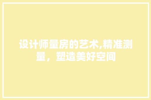 设计师量房的艺术,精准测量，塑造美好空间