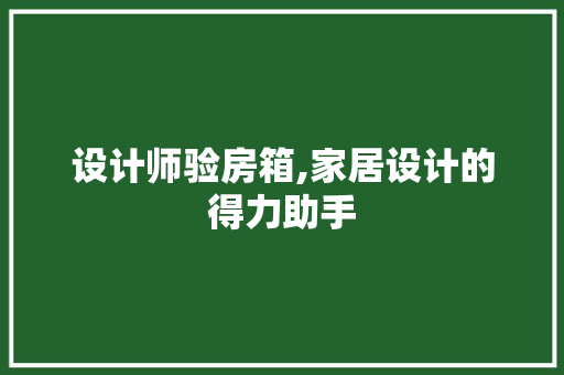 设计师验房箱,家居设计的得力助手